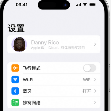 龙文appleID维修服务iPhone设置中Apple ID显示为灰色无法使用 