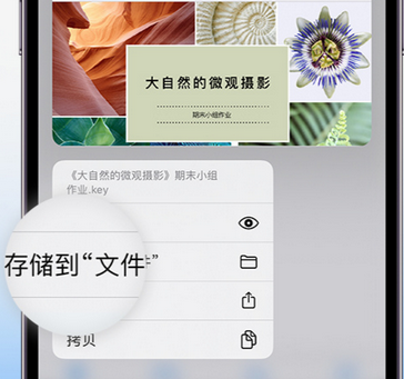 龙文apple维修中心分享iPhone文件应用中存储和找到下载文件