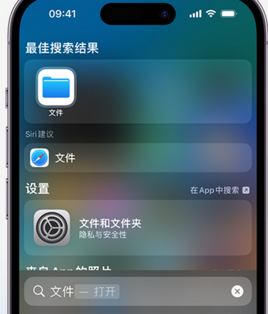 龙文apple维修中心分享iPhone文件应用中存储和找到下载文件