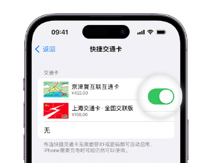 龙文apple维修点分享iPhone上更换Apple Pay快捷交通卡手绘卡面 