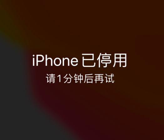 龙文苹果手机维修分享:iPhone 显示“不可用”或“已停用”怎么办？还能保留数据吗？ 