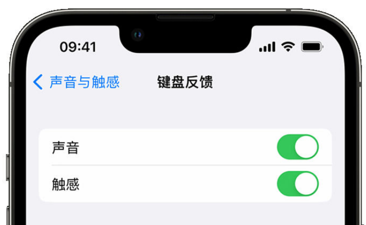 龙文苹果手机维修分享iPhone 14触感键盘使用方法 