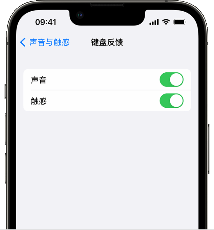 龙文苹果14维修店分享如何在 iPhone 14 机型中使用触感键盘 