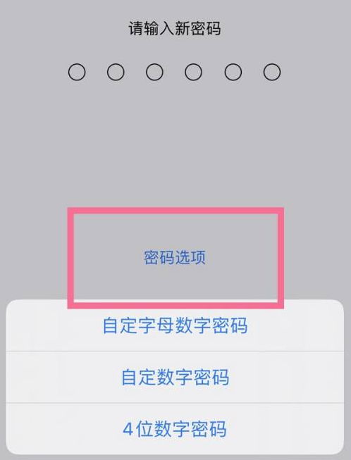 龙文苹果14维修分享iPhone 14plus设置密码的方法 