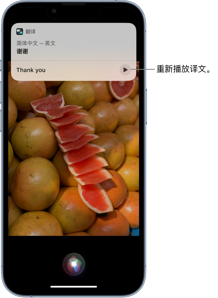 龙文苹果14维修分享 iPhone 14 机型中使用 Siri：了解 Siri 能帮你做什么 