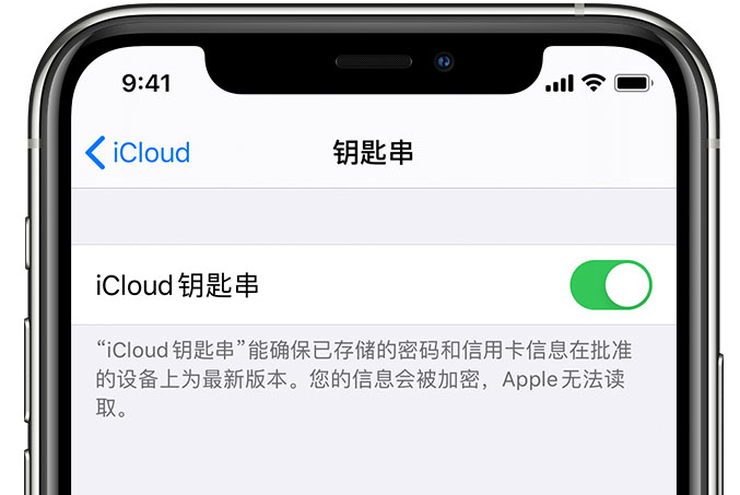 龙文苹果手机维修分享在 iPhone 上开启 iCloud 钥匙串之后会储存哪些信息 