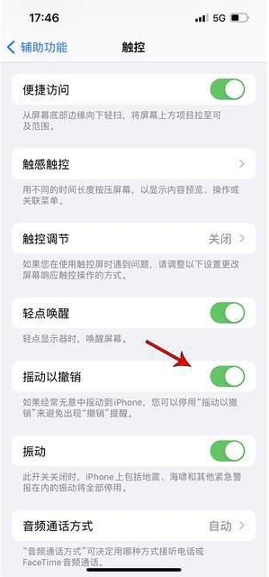 龙文苹果手机维修分享iPhone手机如何设置摇一摇删除文字 