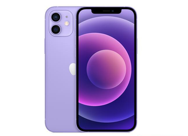 龙文苹果手机维修分享现阶段要不要入手紫色版iPhone12 